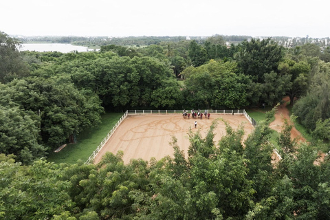 Bangalore: Paardrijles, buitenrit met eten voor fijnproevers