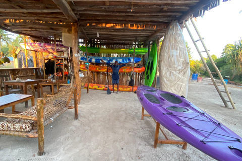 KajakmangroveturKajakpaddling i mangroveträsket