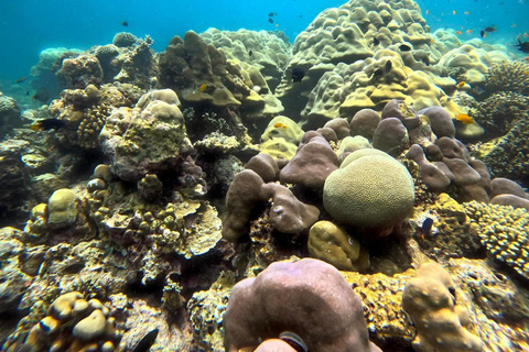 Khao Lak : Excursion de plongée en apnée dans les îles Surin avec le village Moken