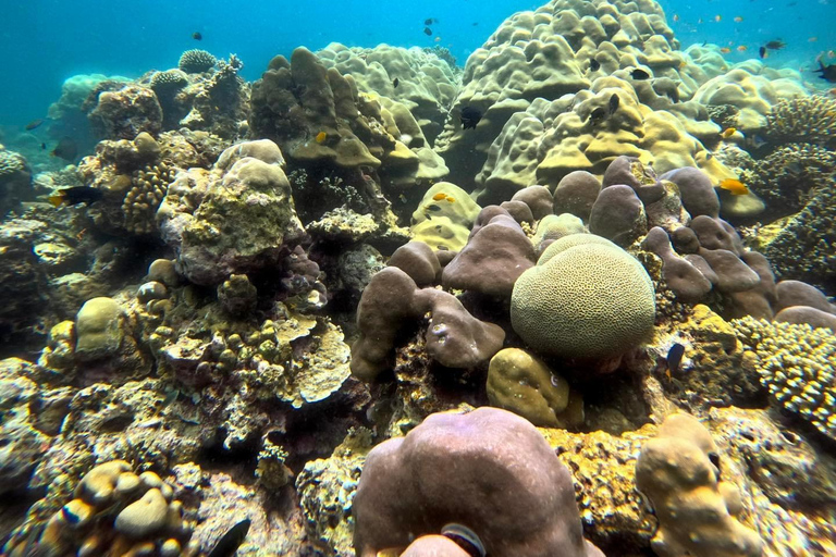 Khao Lak : Excursion de plongée en apnée dans les îles Surin avec le village Moken