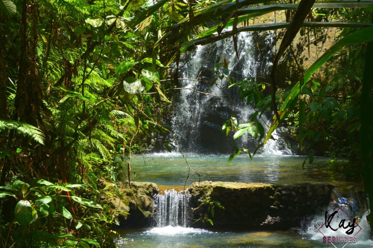 Suva: visite fidjienne de la nature et des cascades