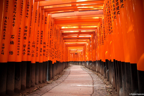 From Osaka: Kyoto, Nara & Uji Day Trip