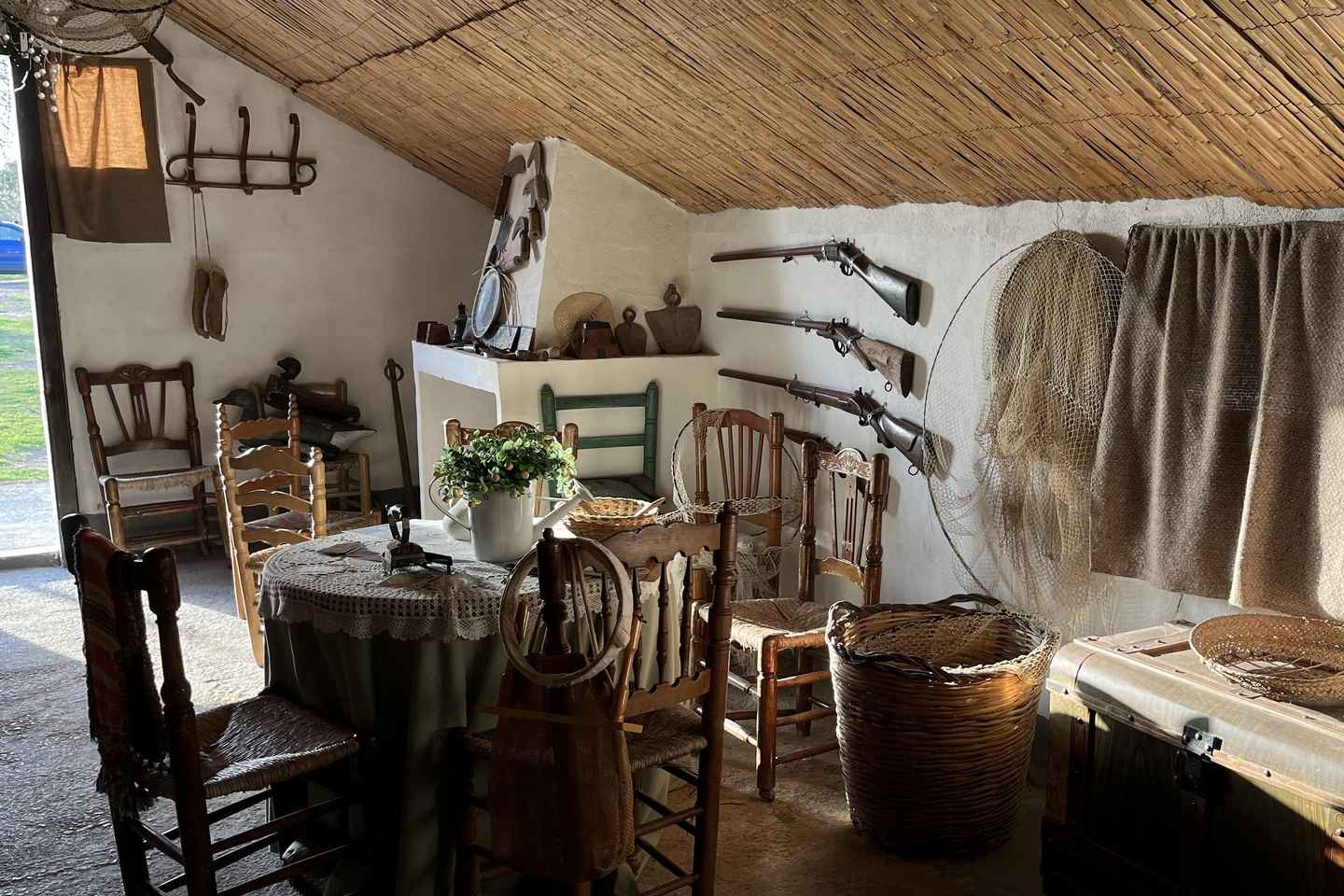 Albufera de Valencia: boat ride and visit to a barraca