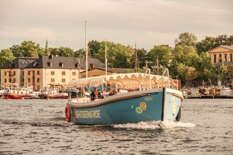 Estocolmo: Visita de la ciudad en barco eléctrico abierto