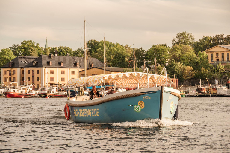 Estocolmo: Passeio turístico pela cidade em um barco elétrico aberto