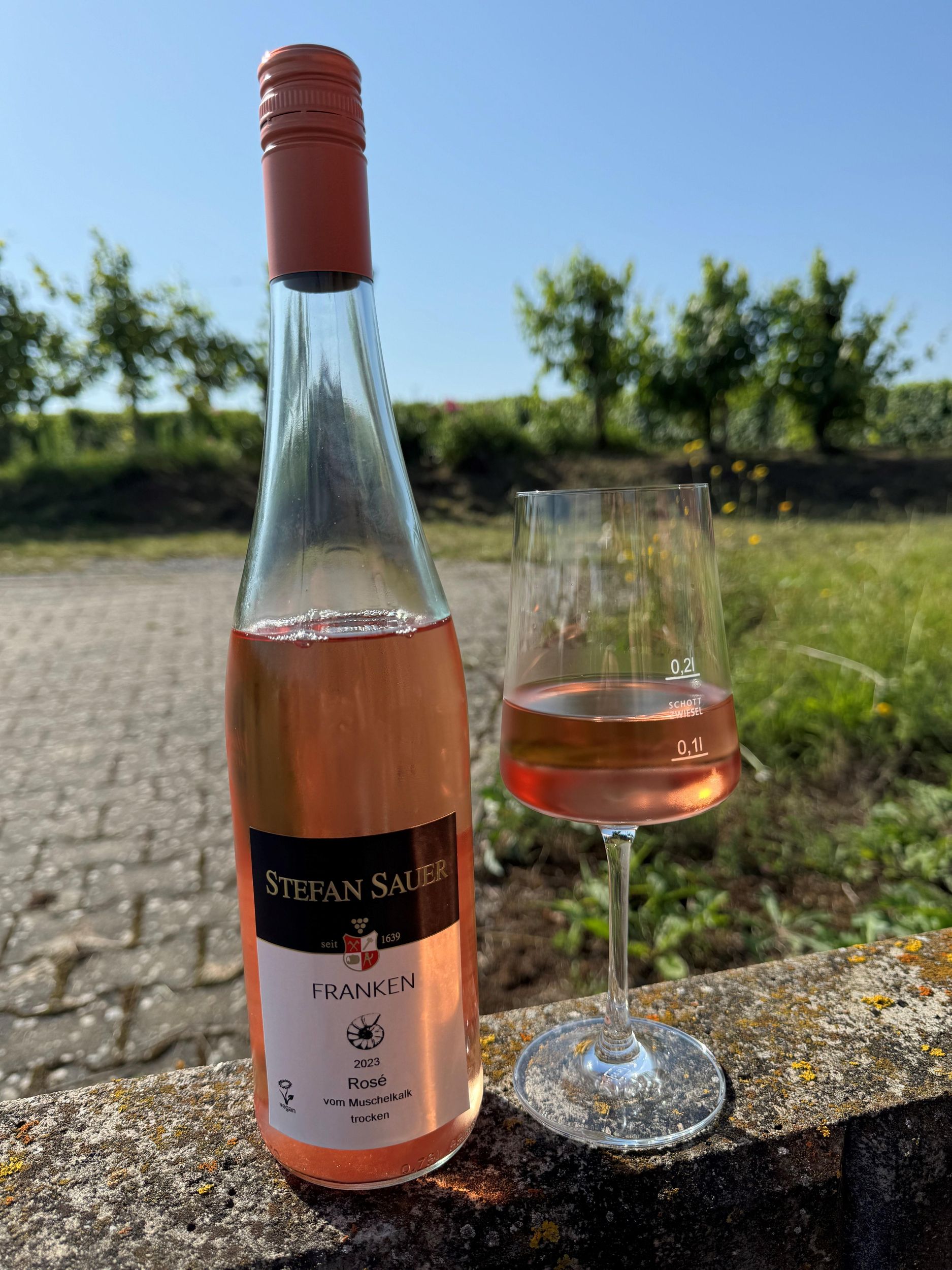 Nordheim: Speed-Wine Tasting im Weingut Sauer