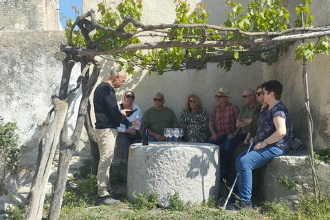 Desde Sitges: Cata de vinos en 2 bodegas, aperitivos y servicio de recogida