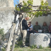 From Sitges: Wine Tasting at 2 Wineries with Hotel Pickup