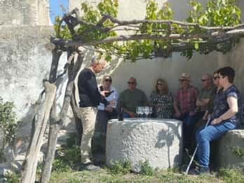 From Sitges: Wine Tasting at 2 Wineries, Snacks and Pickup