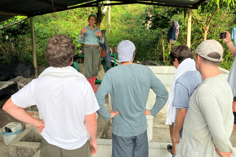 Minca: Fairtrade, coffee & cocoa, organic farm - ES/EN/DE Sunset tour