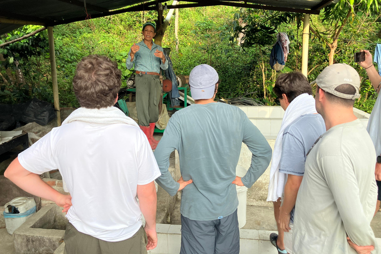 Minca: Fairtrade, coffee & cocoa, organic farm - ES/EN/DE Sunset tour