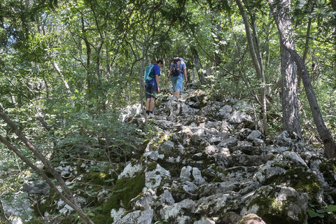 هونجكا: رحلة المشي لمسافات طويلة في جبل ميدفيدنيتسازغرب، هونجكا: نزهة لا تُنسى على جبل ميدفيدنيتسا