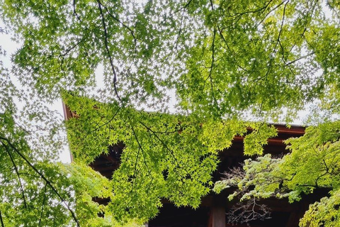 Kyoto: Higashiyama Guided Walking Tour with Kiyomizu-dera