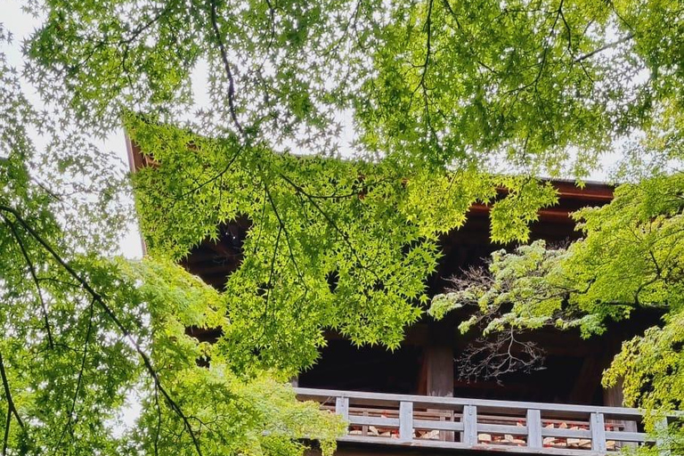 Kyoto: Higashiyama Guided Walking Tour with Kiyomizu-dera