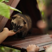 Lokasari: Coffee Plantation Tour, Herbal Tea & Pure Honey Lokasari: Coffee Plantation Tour, Herbal Tea & Pure Honey