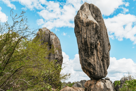 Reef, Rainforest i Outback 3-dniowa wycieczka combo z Cairns