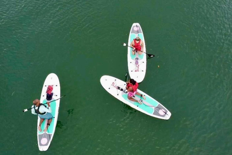 Miami: Noleggio di tavole da paddle o kayak a Virginia KeyMiami: Noleggio di kayak in tandem a Virginia Key
