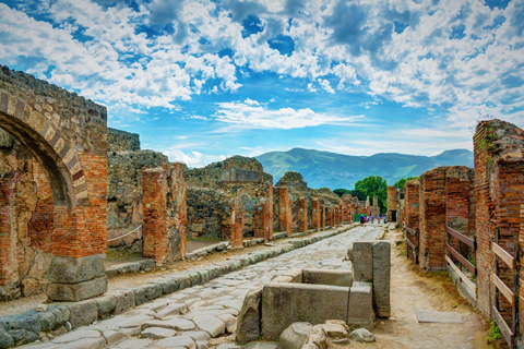 Naples: Pompeii, Mt.Vesuvius and Wine Tasting: – Deluxe Tour VIP Small Group Tour - Up to 8 pax - For Cruise Passengers