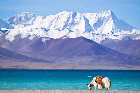 From Kathmandu: 8-Day Tibet Tour with Everest Base Camp