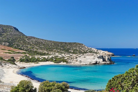 Ab Ornos: Private Kreuzfahrt von Mykonos nach Paros mit Getränken