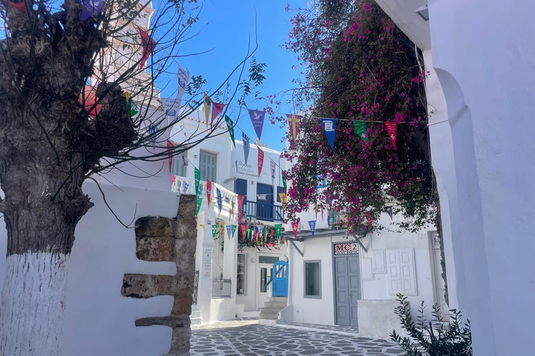 Mykonos Old Town: Secret Alleys, Photo Spots & Sunset Tour Private Tour: Vibrant Colors & Exclusive Sescret Path