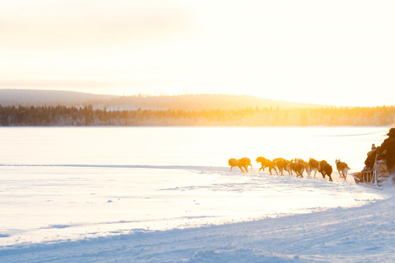 Rovaniemi: Insider 5km Husky Sledding Tour
