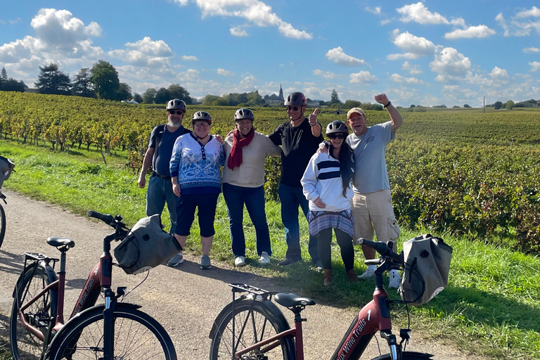 Saint Emilion Wine and Bike Tour Bordeaux: Saint-Emilion Electric Bike Tour with Picnic Lunch