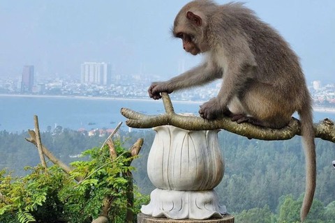 Easy Rider Tour via het schiereiland Son Tra en Ba Na Hills (R-Trip)Vanuit Hoi An: Son Tra-schiereiland &amp; Ba Na Hills-tour