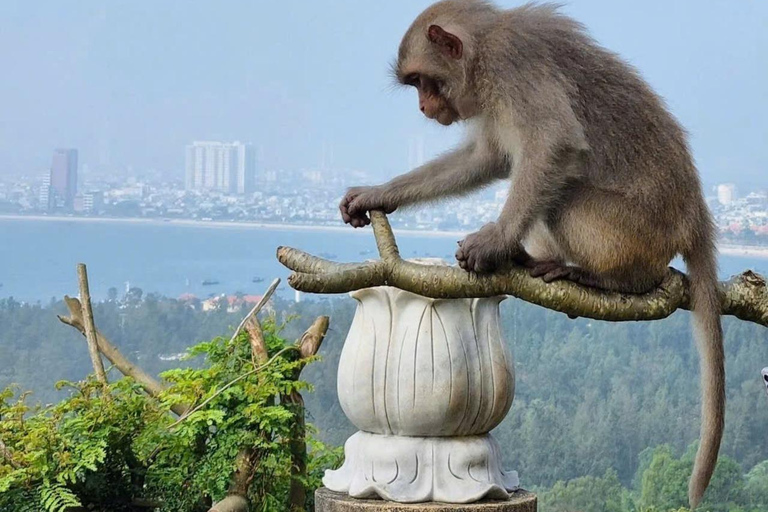 Easy Rider Tour via het schiereiland Son Tra en Ba Na Hills (R-Trip)Vanuit Hoi An: Son Tra-schiereiland &amp; Ba Na Hills-tour