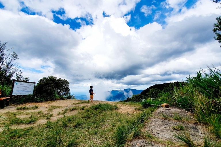 Desde Da Nang: Trekking en el Parque Nacional Bach MaTour privado
