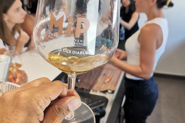 Vanuit Marseille: rondleiding door wijngaarden met wijnproeverijen