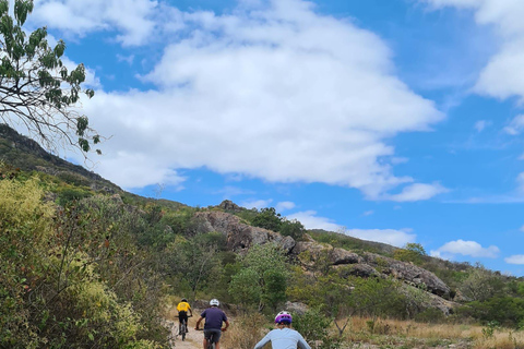 MTB Bike Tour: Tule Tree through the country-side