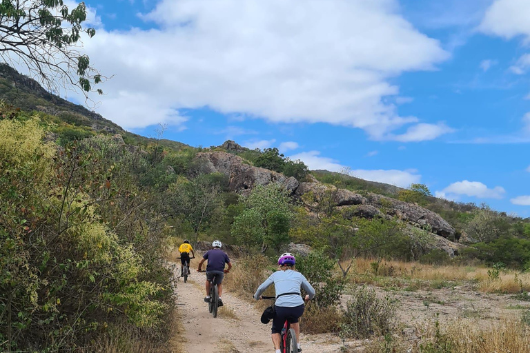 MTB Bike Tour: Tule Tree through the country-side