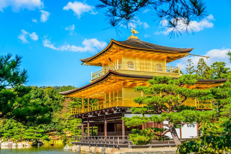 3-Day Tokyo to Kyoto Alps Tour:Shirakawa-go&Takayama&Magome Driver Only