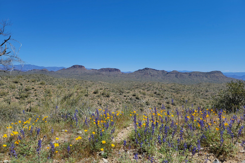 Phoenix: ATV Tour with Panoramic Views ATV Tour with Panoramic Views 2-Seater (Driver Only)