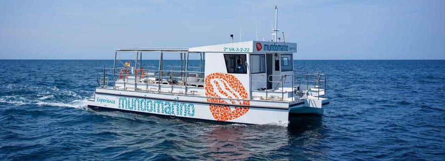 Dénia : Croisière au coucher du soleil sur un catamaran à moteur