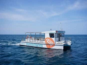 Dénia: Crucero al Atardecer en Catamarán a Motor