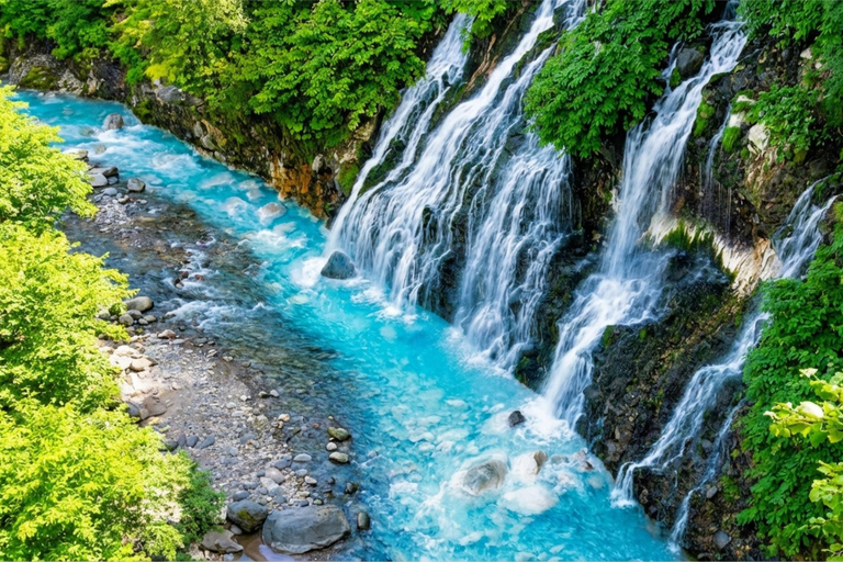 Summer Hokkaido: Furano lavender, Blue Pond,Shikisai-no-Oka 7:50 am meet at Odori Park subway station exit 31