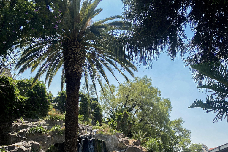 From Mexico City: 1-day tour of the Basilica of Guadalupe and Teotihuacan