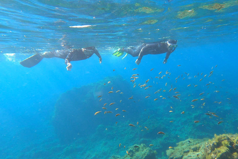 Abades: snorkeltocht in een beschermd zeegebied