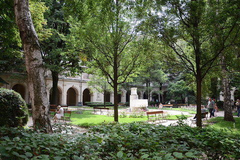 Lyon: Guided Walking Tour with a Local In Small Group