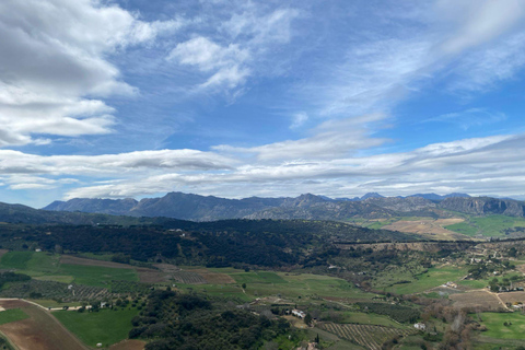 from Estepona, Marbella, Mijas: RONDA private tour incl. transportation and tapas