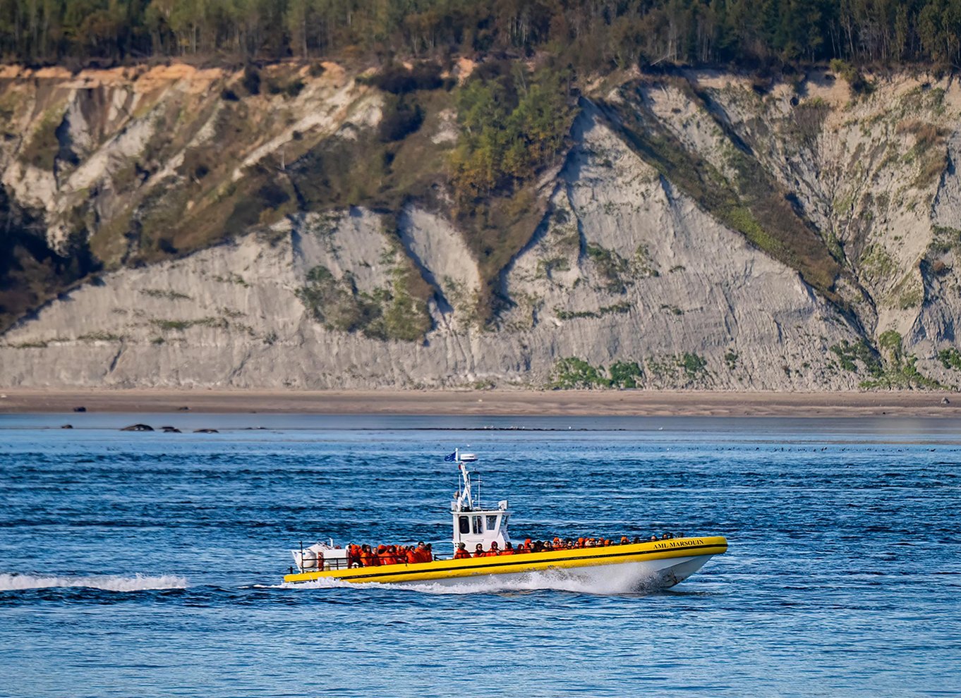 Tadoussac/Charlevoix: Hvalsafari og bjørneobservation