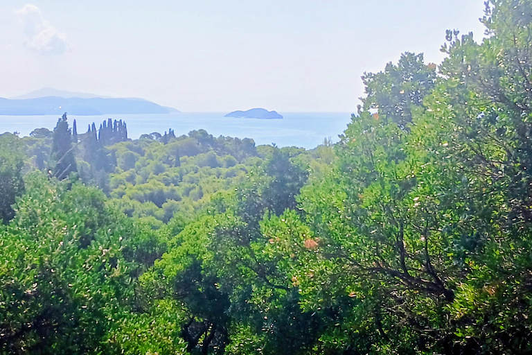 Lokrum Island Scenic Hike: History, Nature & Stories