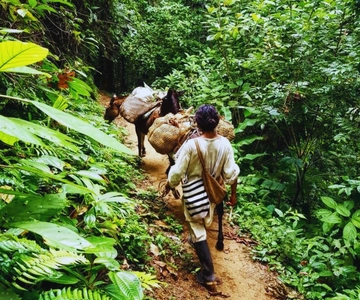 Trekking História e Património Indígena em Minca + Cacau e Café + Cascata