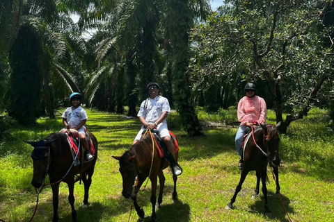 Ao Nang: Horse Riding Tour and kayaking clongrood