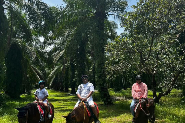 Ao Nang: Horse Riding Tour and kayaking clongrood