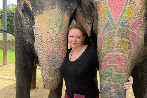 Jaipur: Hathigao Elephant Village Ride, Feeding, & Photos Riding, Feeding, Climbing And Photography with Elephant