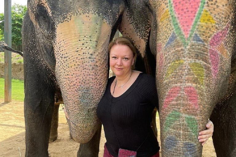 Jaipur: Hathigao Elephant Village Ride, Feeding, & Photos Riding, Feeding, Climbing And Photography with Elephant