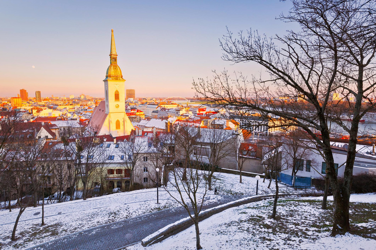 Excursion hivernale d'une journée : de Vienne à Bratislava en bus et en bateauVisite en anglais